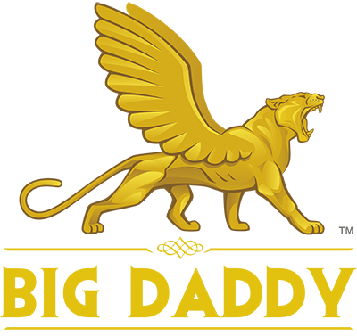 BD Logo